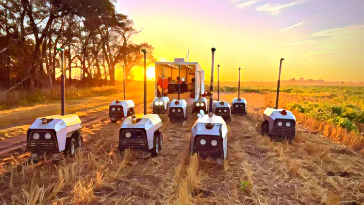 What’s New in Robotics? 24.11.2023