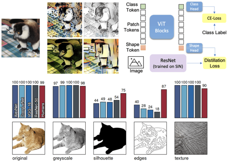 Understanding Vision Transformers (ViTs): Hidden properties, insights, and robustness of their representations